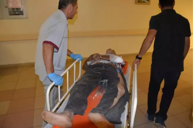 Ceviz Toplarken Ağaçtan Düşüp Yaralandı