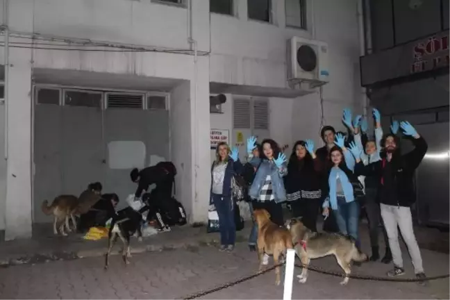 Çöplerden Topladıkları Yiyeceklerle Sokak Hayvanlarını Besliyorlar