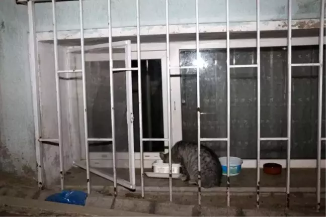 Youtube Fenomeni Cem Korkmaz İntihar Etti (Geniş Haber)
