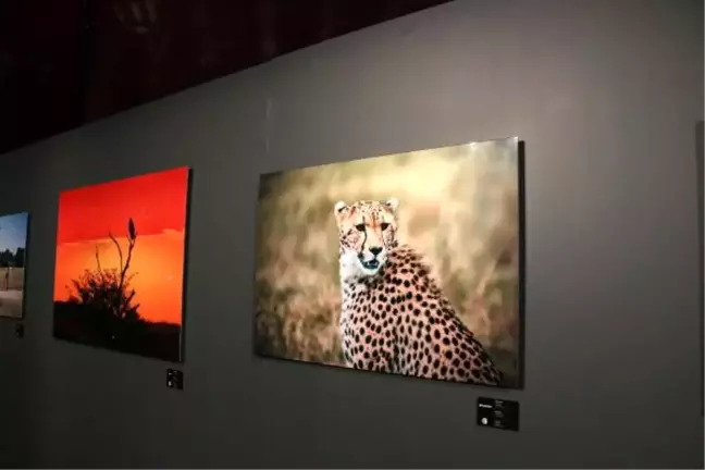 Engin Altan Düzyatan, Afrika'da Çektiği Fotoğraflarla Sergi Açtı