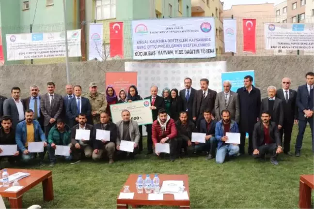 Şırnak'ta 51 Genç Çiftçiye 37'şer Küçükbaş Dağıtıldı