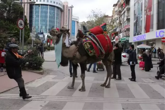 Temel Atma Töreninde Kesilecek Deveyle Davet