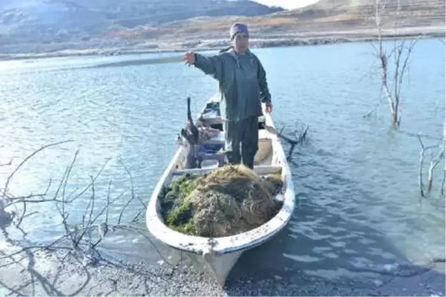 Yamula'daki Öldüren Misinalara Araştırma