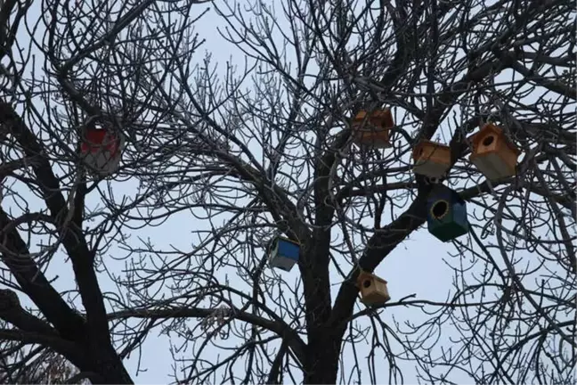 Ağrı'da 'Kuş Evleri' Yapıldı