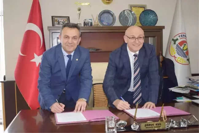 Terme'de Asansörler Mmo'ya Emanet