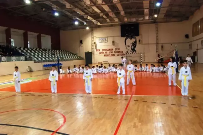 Çanakkale'de Taekwondocular Ter Döktü