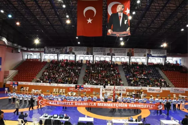 Grekoromen Güreş Şampiyonası