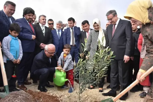 Bakan Elvan, 'Zeytin Dalı Harekatı' Şehitleri İçin Fidan Dikti