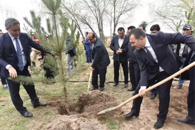 Ahlat'ta Şehitler İçin Fidan Dikildi