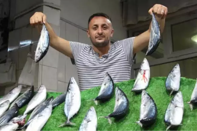 Zonguldak'ta Balık Tezgahta El Yakıyor