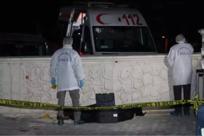 Çocuğuyla Birlikte 6'ıncı Katından Düşen Kadın Öldü