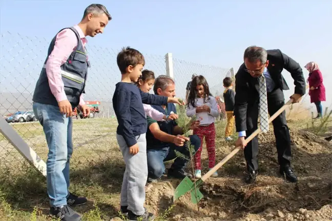 Tosya'da Öğrenciler Fidan Dikti