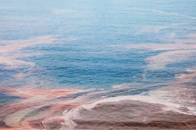 Doğa, Tekstil Atıklarından 'Doğa' ile Korunuyor