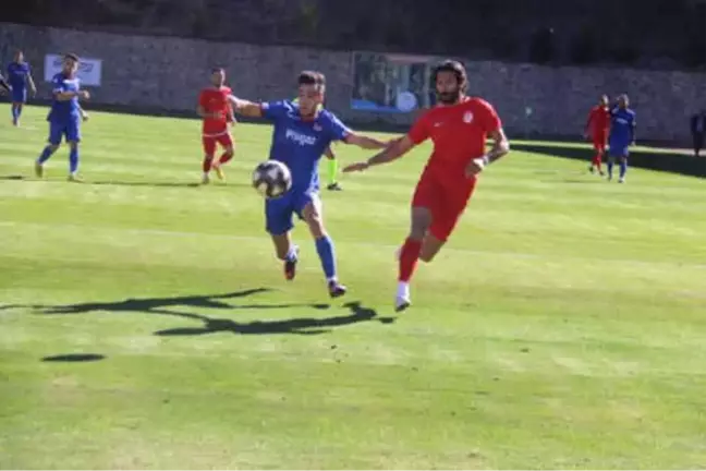 Gümüşhanespor-Niğde Anadolu Fk: 2-2