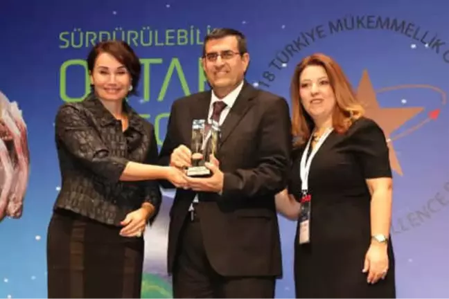 Türkiye Mükemmellik Ödülü Çedaş'ın Oldu