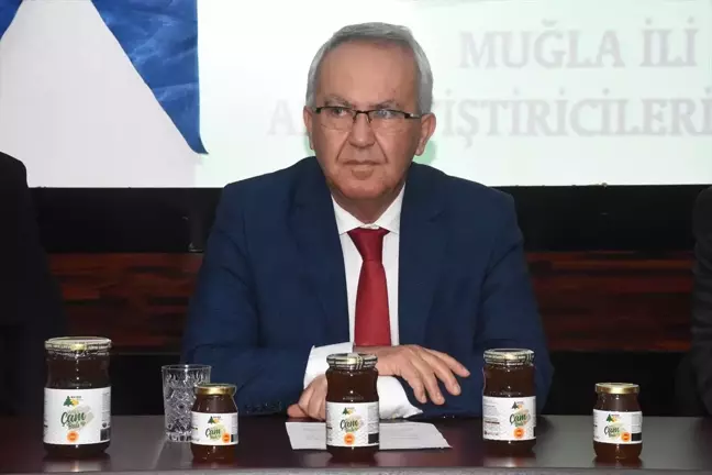 Muğla Çam Balında Markalaşma Çalışmaları