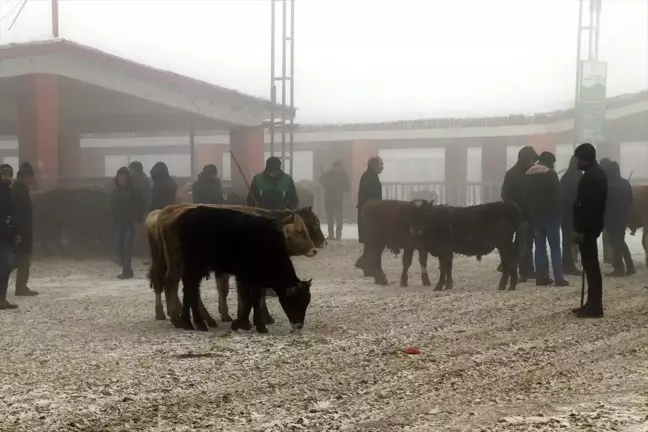 Doğu Anadolu'da 58 Köy ve Mahalle Yolu Kapalı