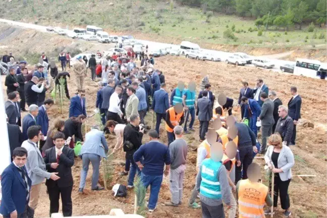 Silifke'de Adalet Ormanı Oluşturuldu