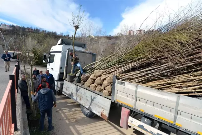 Tunceli'nin Fidanları Bursa'dan Getiriliyor