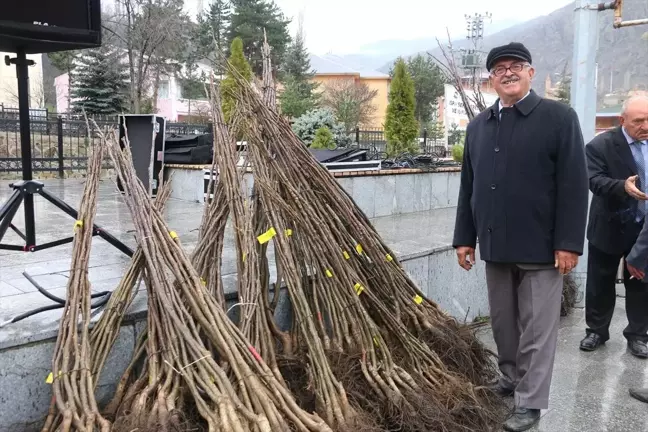 İspir'de Çiftçilere 13 Bin Ceviz Fidanı Dağıtıldı