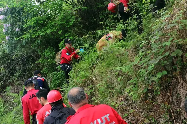 Rize'de Kaybolan Çocuklar Bulundu