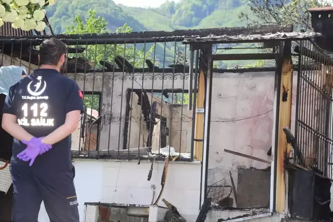 Ordu'da Yangın