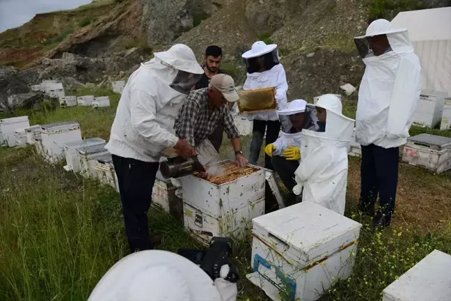 Kumluca'da Bal Üreticileri Yaz Sezonuna Hazırlanıyor