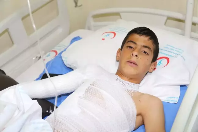 Yüksek Gerilim Hattı Iğdırlı Yusuf'un Kabusu Oldu