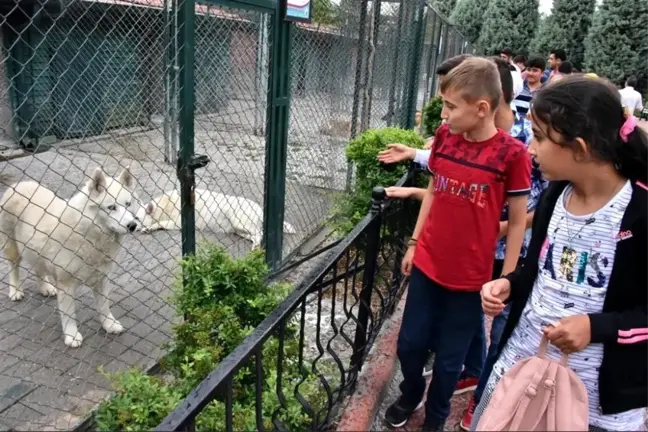 Karatay'dan öğrencilere Bilim Merkezi ve hayvanat bahçesi gezisi