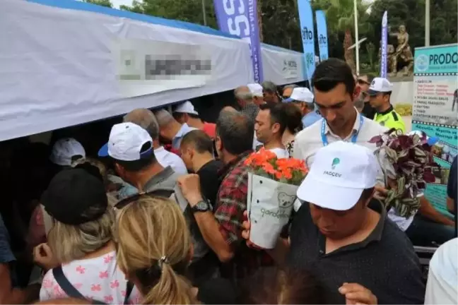 Ücretsiz saksı çiçeği almak isteyenler birbiriyle yarıştı