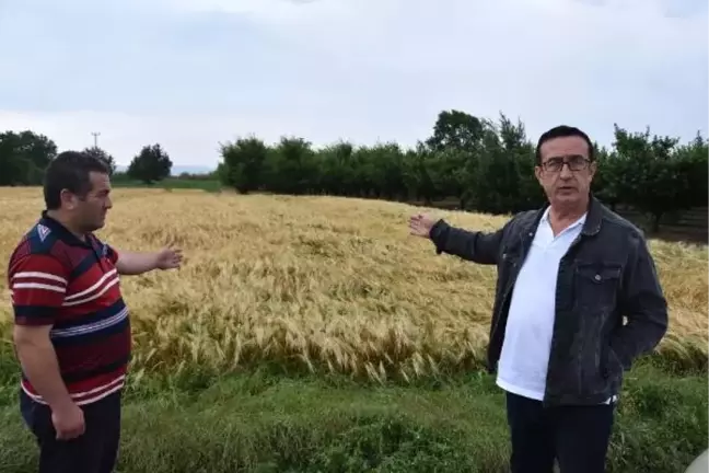 İnegöl'de sağanak ve dolu (3)