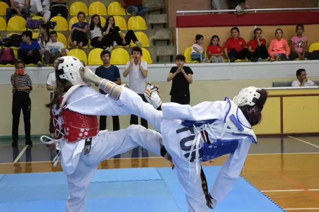 Taekwondocuların yıldızı parladı