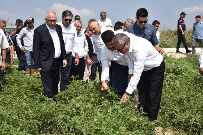 Vali Deniz Salihli'de doludan zarar gören çiftçilerle buluştu