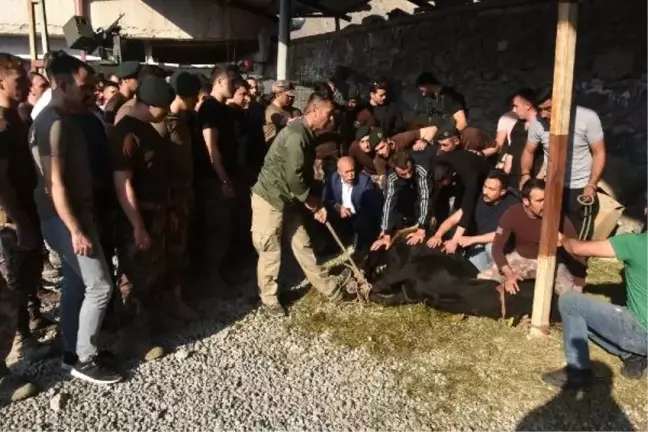 Hakkari'de şehitler için kurban kesildi