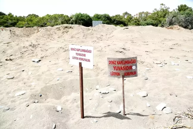 Mezitli Belediyesi, Davultepe 100. Yıl Plajı planına itiraz etti