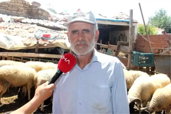 Bergama'da veba şüphesiyle 20 mahalleye küçükbaş giriş ve çıkışı yasak