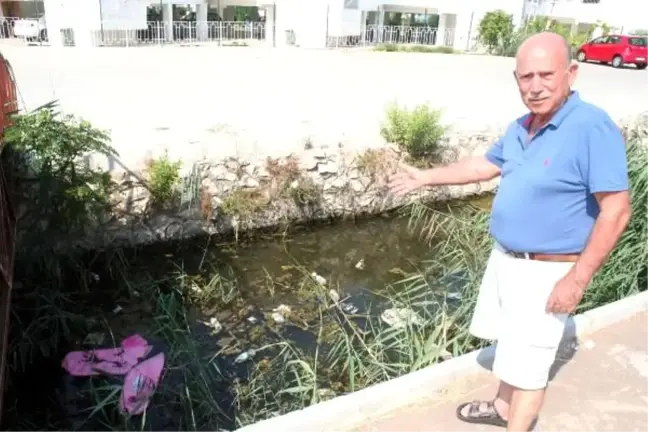 Dereden gelen kötü kokuya tepki