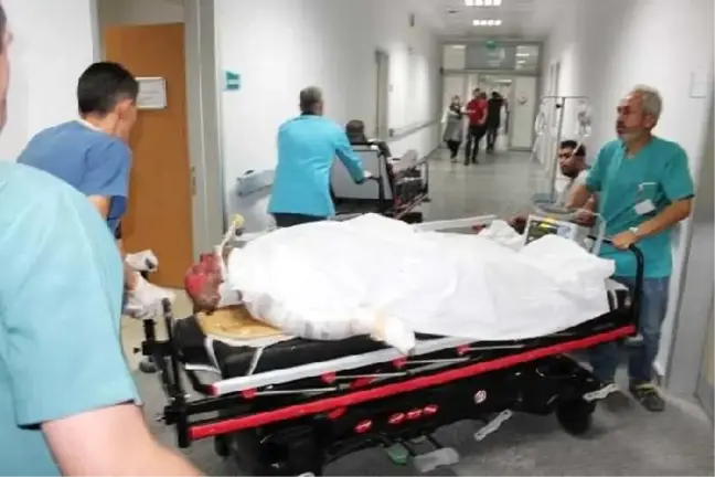 Kaza yapan arkadaşına yardıma koştu, elektrik akımına kapıldı