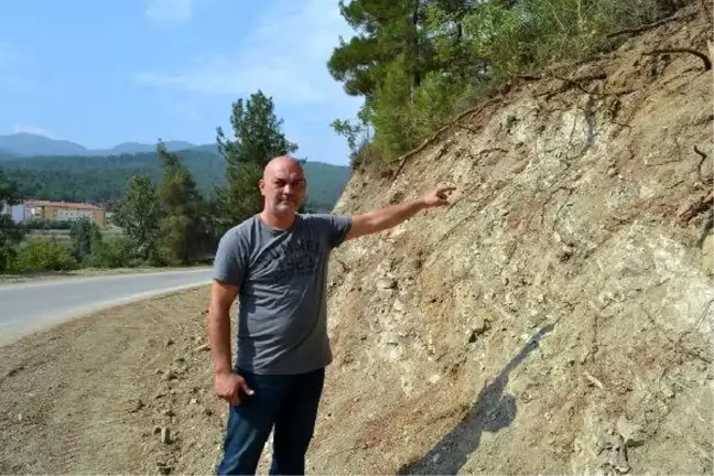 Bigadiç'te yol kenarında çok sayıda kemik ortaya çıktı
