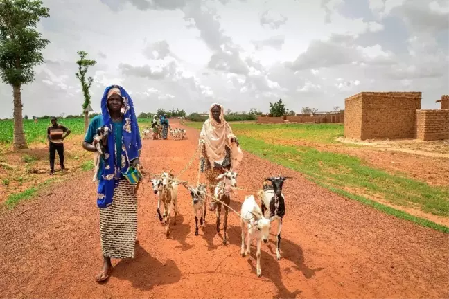 İyilik Derneği, Afrika'nın derdine süt keçileri ile koşuyor
