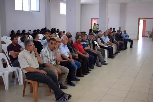Tatarlı'da