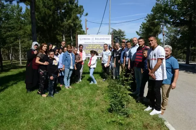 Öğrenciler belediye hayvan parkı'nı gezdi