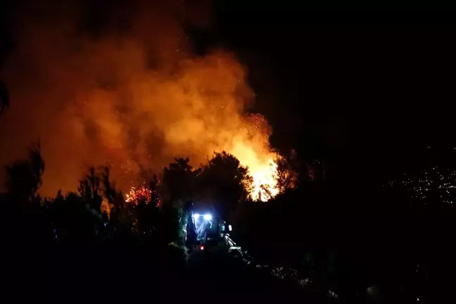 Hatay'da orman yangını