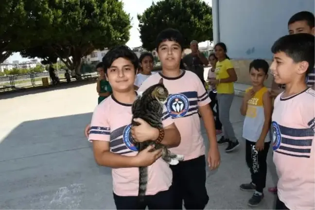 'Şanslı' kedi, öğrenci ve öğretmenlerin sevgisiyle yürüdü