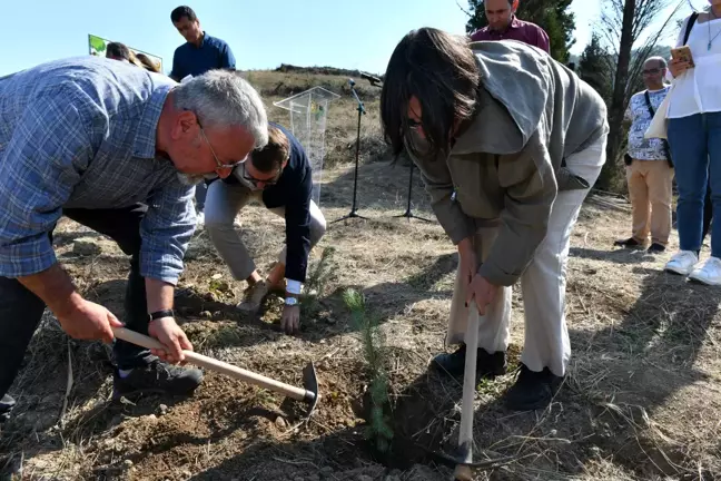 Çanakkale'de 10 bin fidanlık hatıra ormanı yeşerecek!