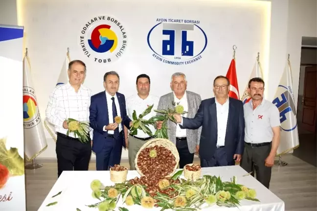 Aydın'da sezonun ilk kestanesi borsaya teslim edildi