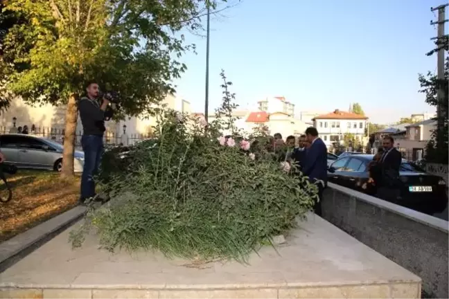Aziz vlas'ın mezarı 'inanç' turizmine kazandırılacak