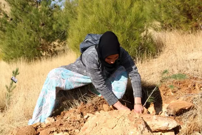 Mardin'de