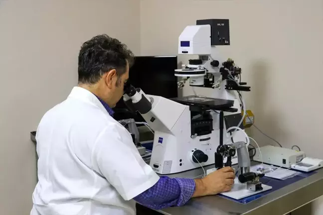Dicle Üniversitesi çocuk sahibi olamayan dar gelirli ailelere umut olacak
