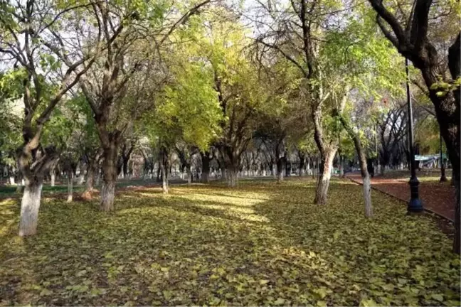 Gaziantep'te kış mevsiminde sonbahar manzarası